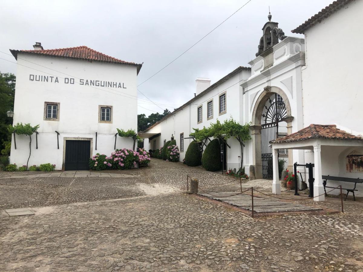 Terra Luso Proche De Montejunto Bed and Breakfast Cadaval Buitenkant foto