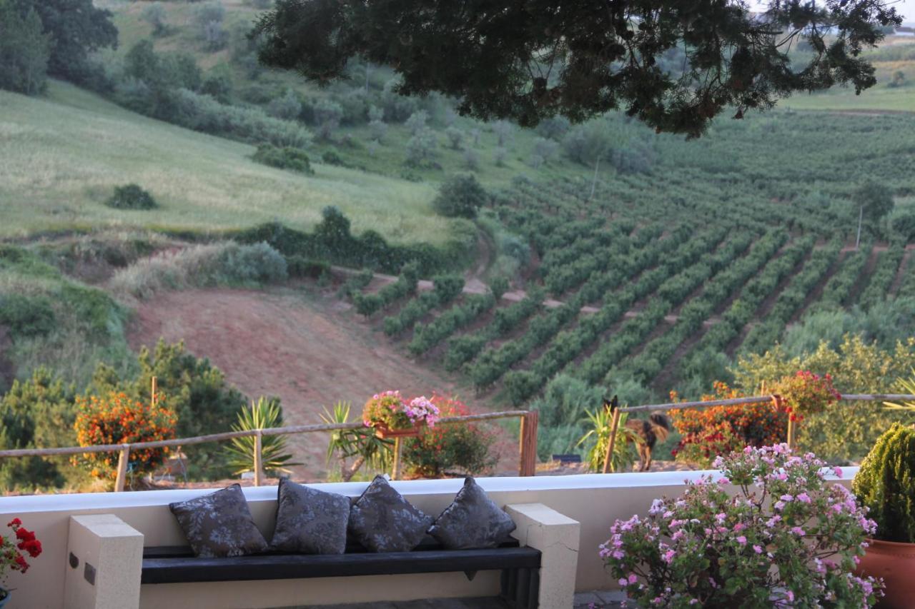 Terra Luso Proche De Montejunto Bed and Breakfast Cadaval Buitenkant foto