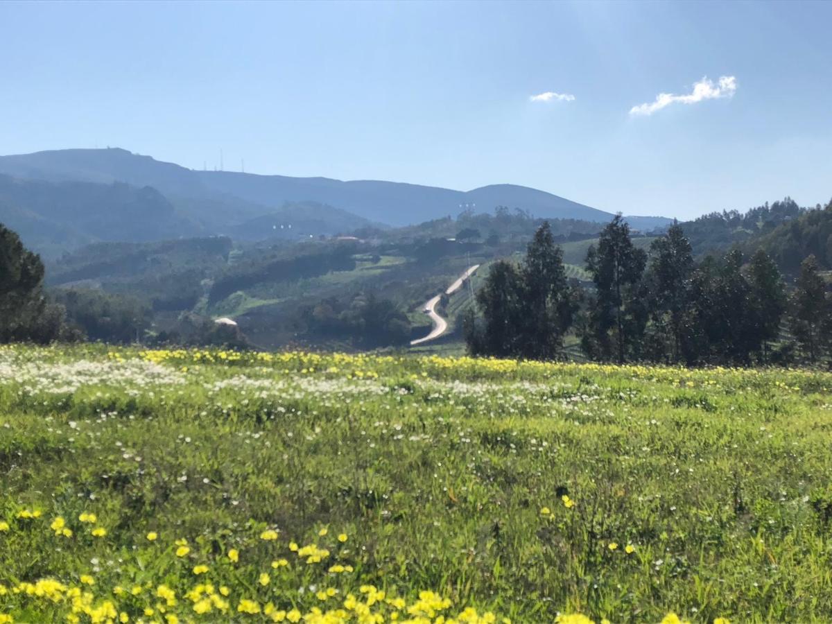 Terra Luso Proche De Montejunto Bed and Breakfast Cadaval Buitenkant foto